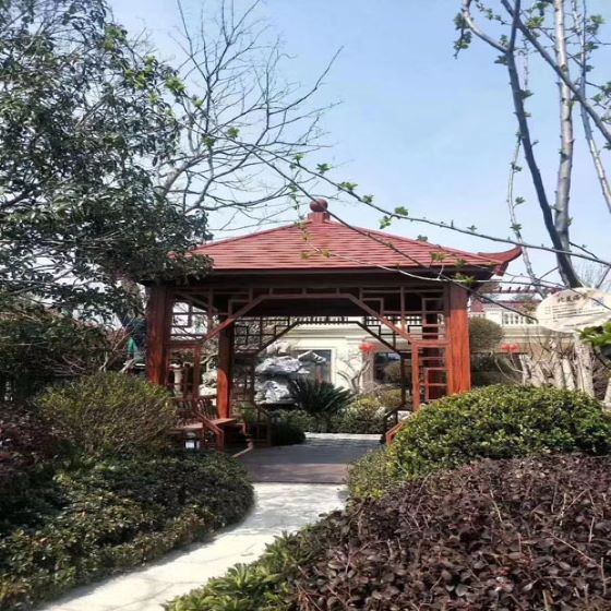 阳江公园庭院休闲景观亭子 中式仿古建筑 做工细致 美观坚固 用途多样